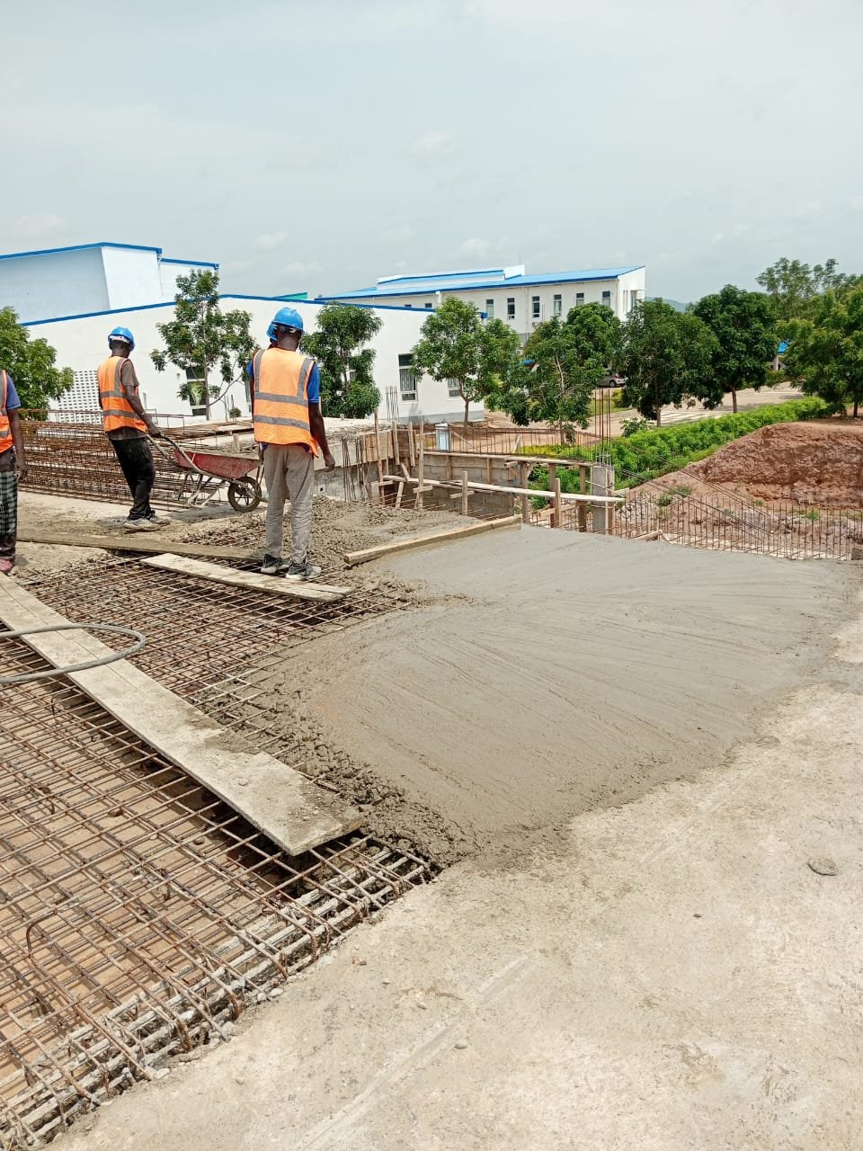 Dalle scanner 5